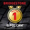 Bridgestone Ecopia EP300 цена